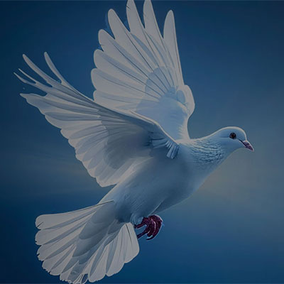 Cheltenham Bach Choir perform Karl Jenkins The Armed Man and Haydn's Missa in Tempore Belli, Paukenmesse on Sat 6th March 2027